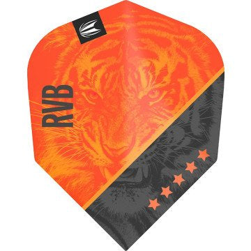 Target Vision Ultra Player Raymond van Barneveld G4 No.6
