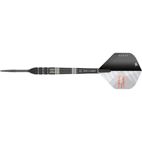 Target Raymond van Barneveld Echo 95% Swiss 21g/ 23g/ 25g
